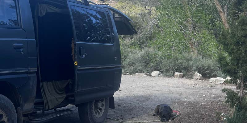 Camper submitted image from Snake Creek Campground - Primitive