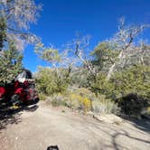 Review photo of Squirrel Springs Campsites — Great Basin National Park by Geoff M., October 3, 2023