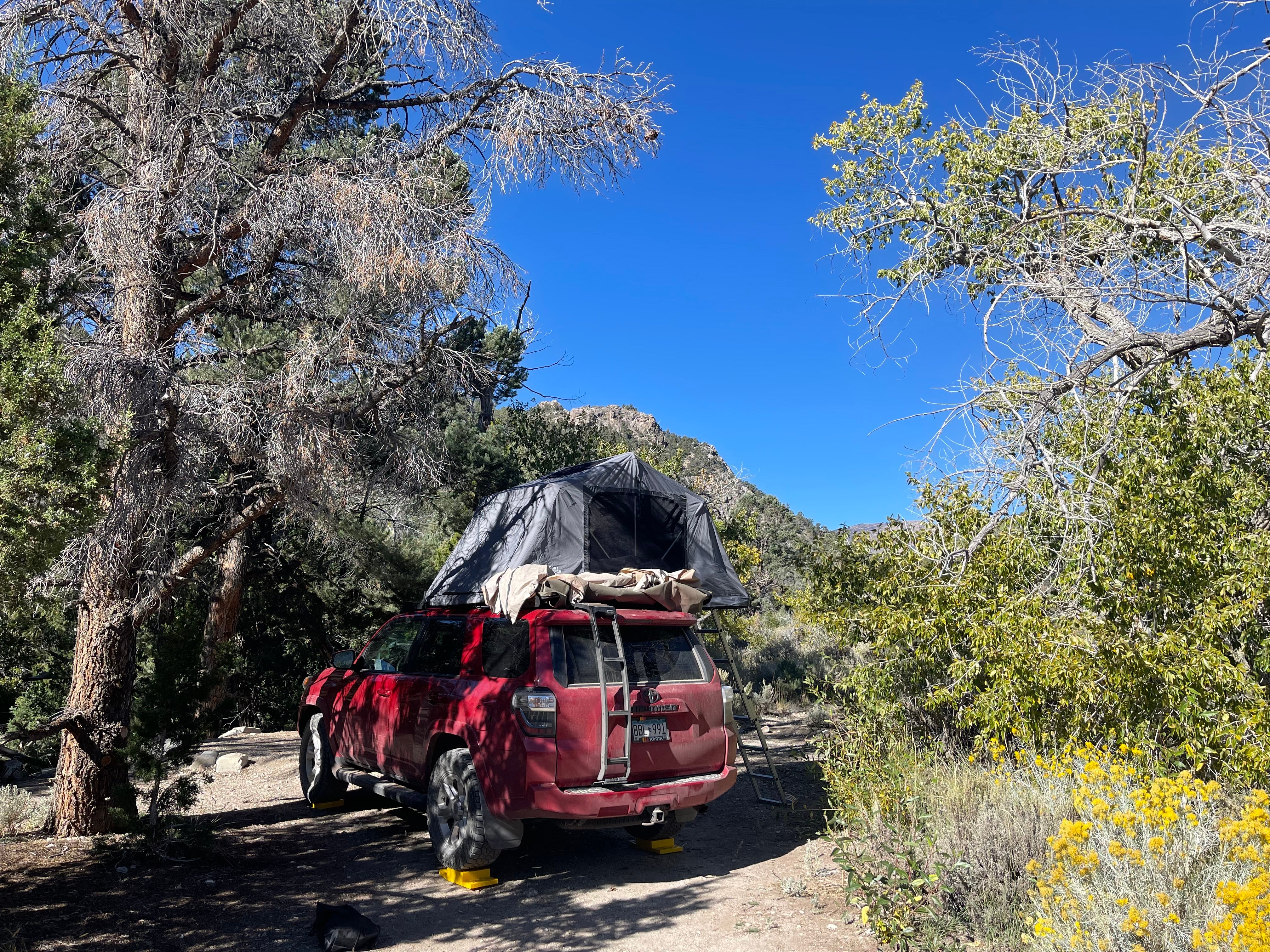 Camper submitted image from Squirrel Springs Campsites — Great Basin National Park - 1