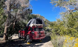 Camping near Whispering Elms Motel, Campground, & RV Park : Squirrel Springs Campsites — Great Basin National Park, Baker, Nevada