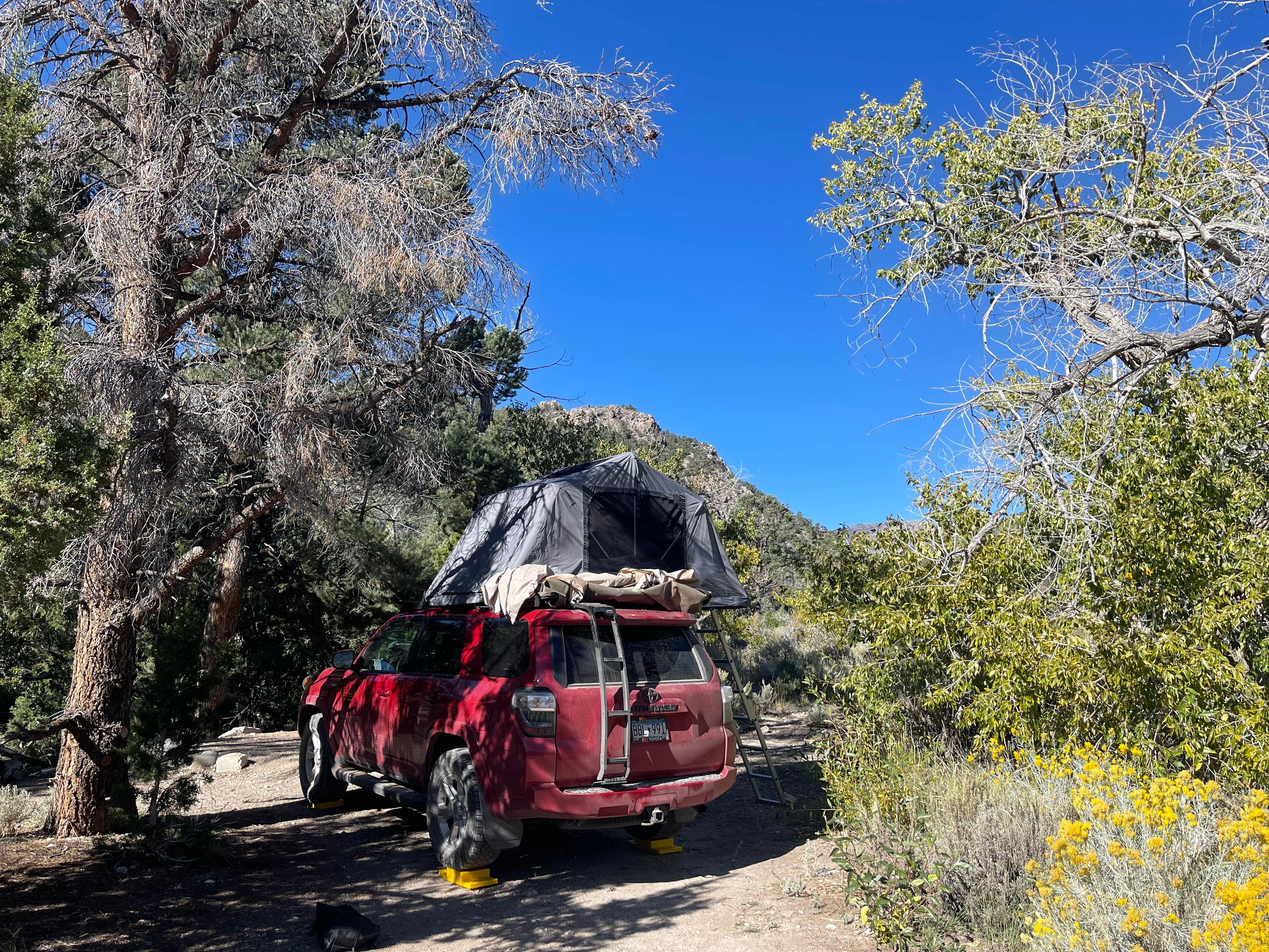 Camper submitted image from Squirrel Springs Campsites — Great Basin National Park - 1