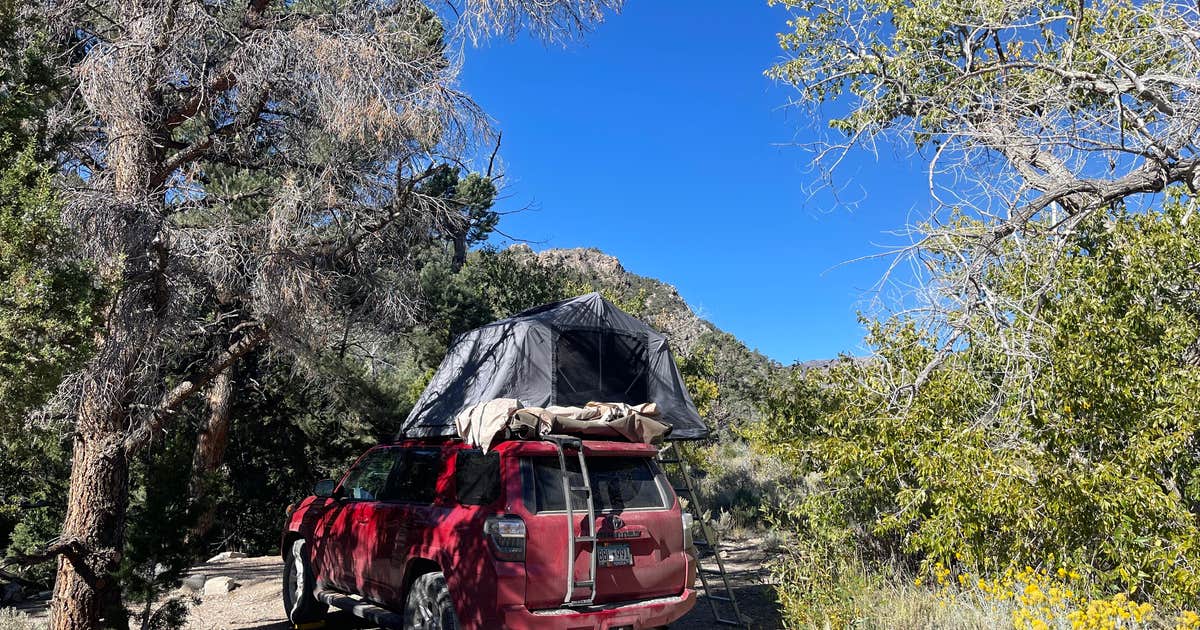 Squirrel Springs Campsites — Great Basin National Park