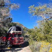 Review photo of Squirrel Springs Campsites — Great Basin National Park by Geoff M., October 3, 2023
