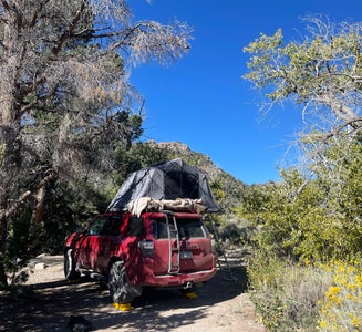 Camper-submitted photo from Squirrel Springs Campsites — Great Basin National Park