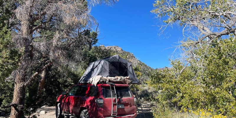 Camper submitted image from Squirrel Springs Campsites — Great Basin National Park