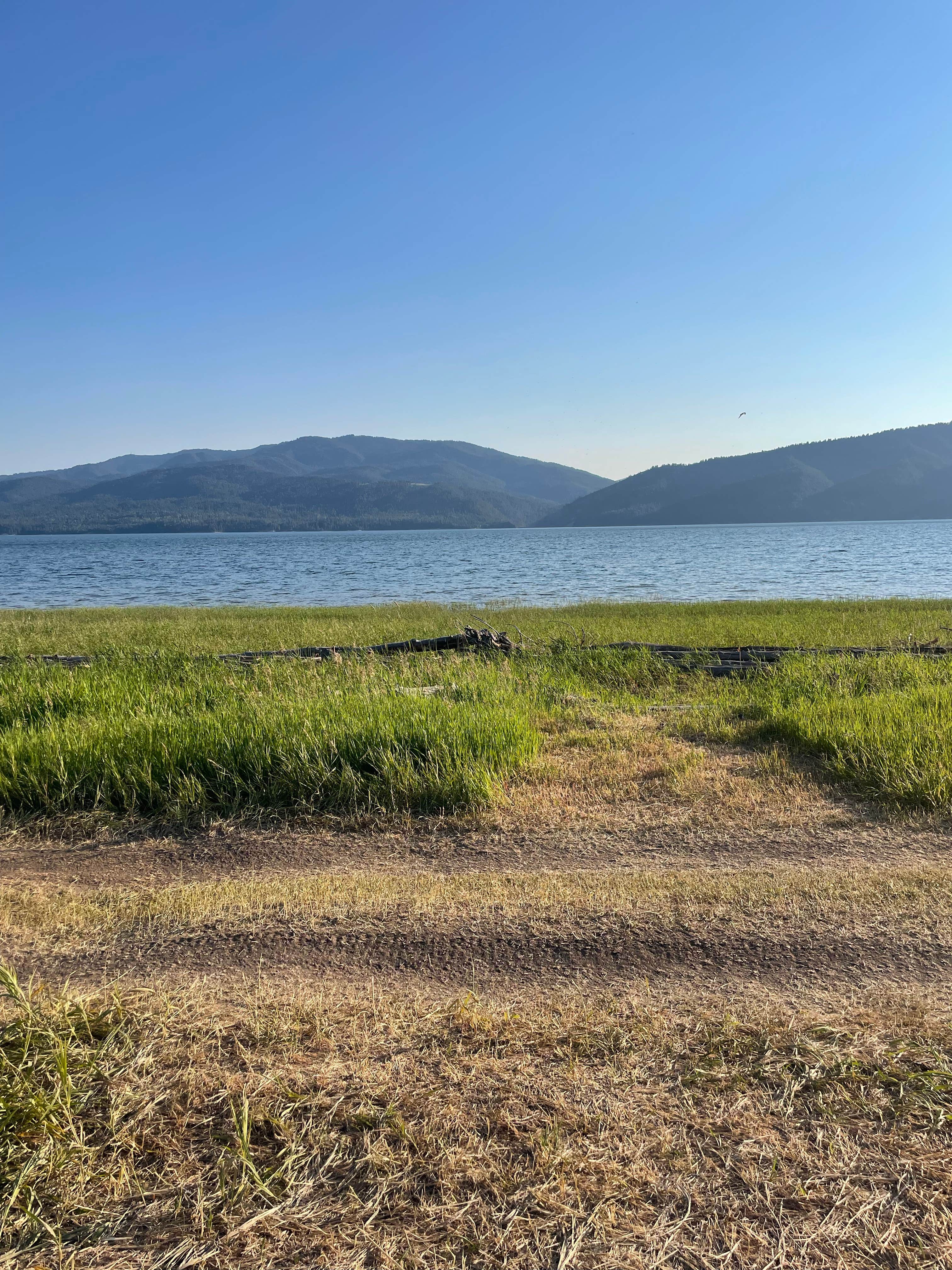 Azaali J.'s photo of a dispersed camping area at Snake River Alpine Dispersed Camping near Smoot, WY