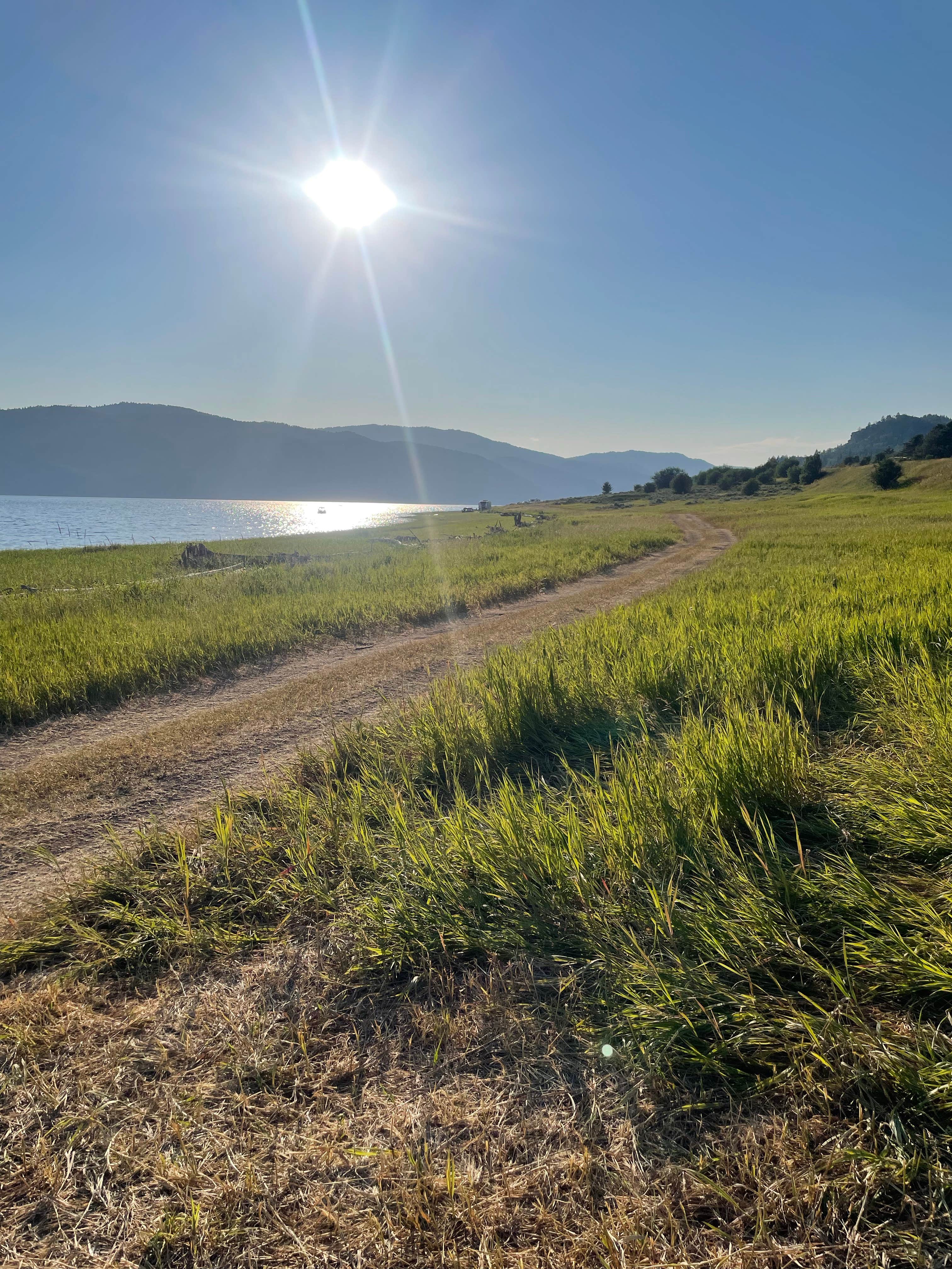 Camper-submitted photo at Snake River Alpine Dispersed Camping near Alpine, WY