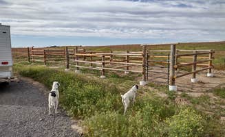 Mike's photo of camping with pets at Snake River Canyons Park - Rickett's RV Camp near Burley, ID