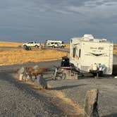 Review photo of Snake River Canyons Park - Rickett's RV Camp by Brooke C., October 24, 2024