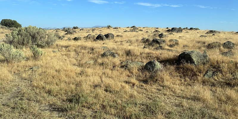 Camper submitted image from Snake River Dispersed Camping