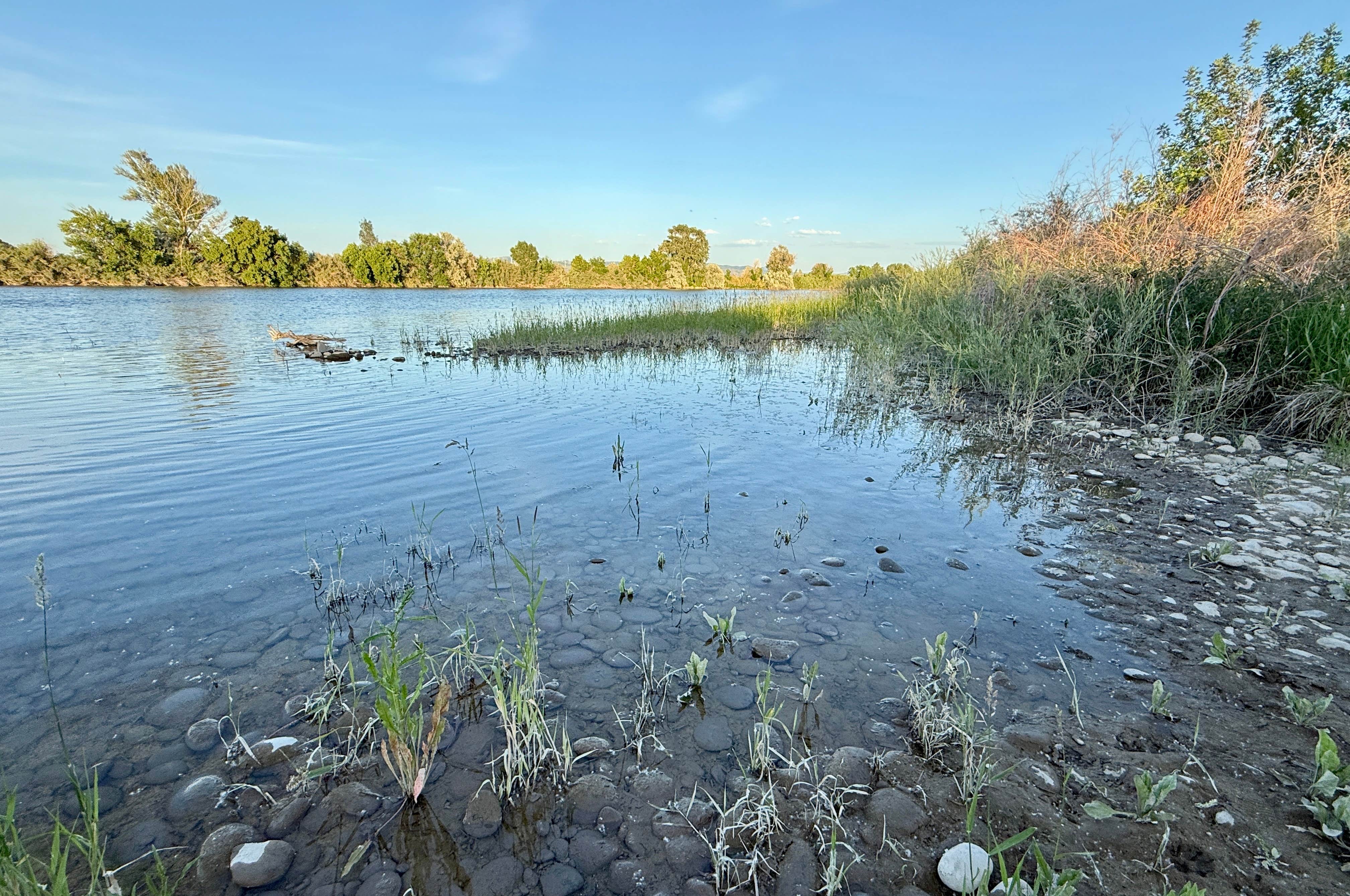 angela M.'s photo of a dispersed camping area at Snake River Dispersed near Bancroft, ID