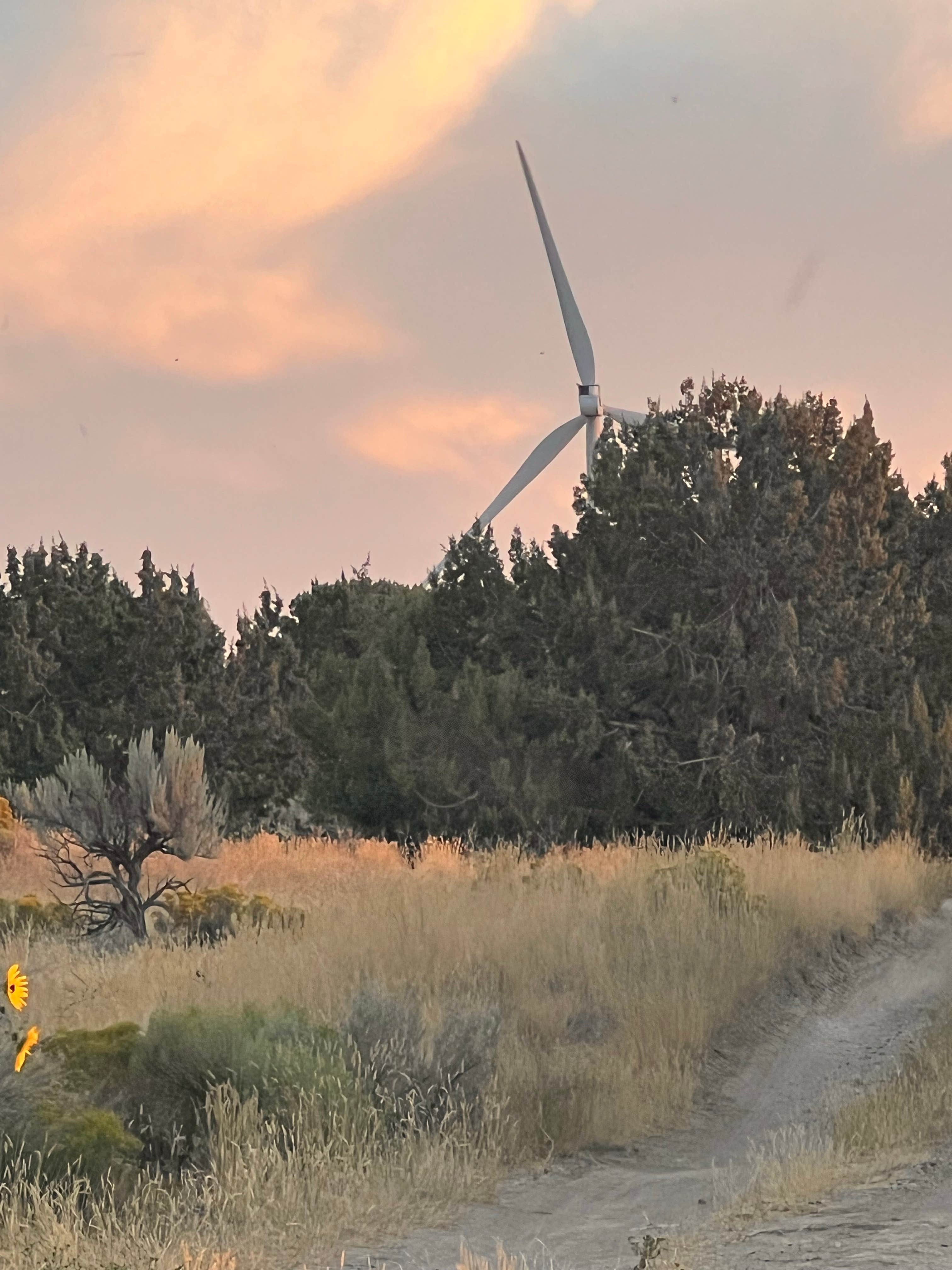 Camper-submitted photo at Snake River Vista Recreation Site near American Falls, ID