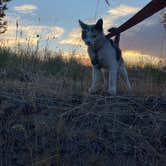 Review photo of Snake River Vista Recreation Site by Imerie T., June 9, 2025
