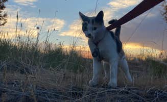 Imerie T.'s photo of camping with pets at Snake River Vista Recreation Site near Rupert, ID