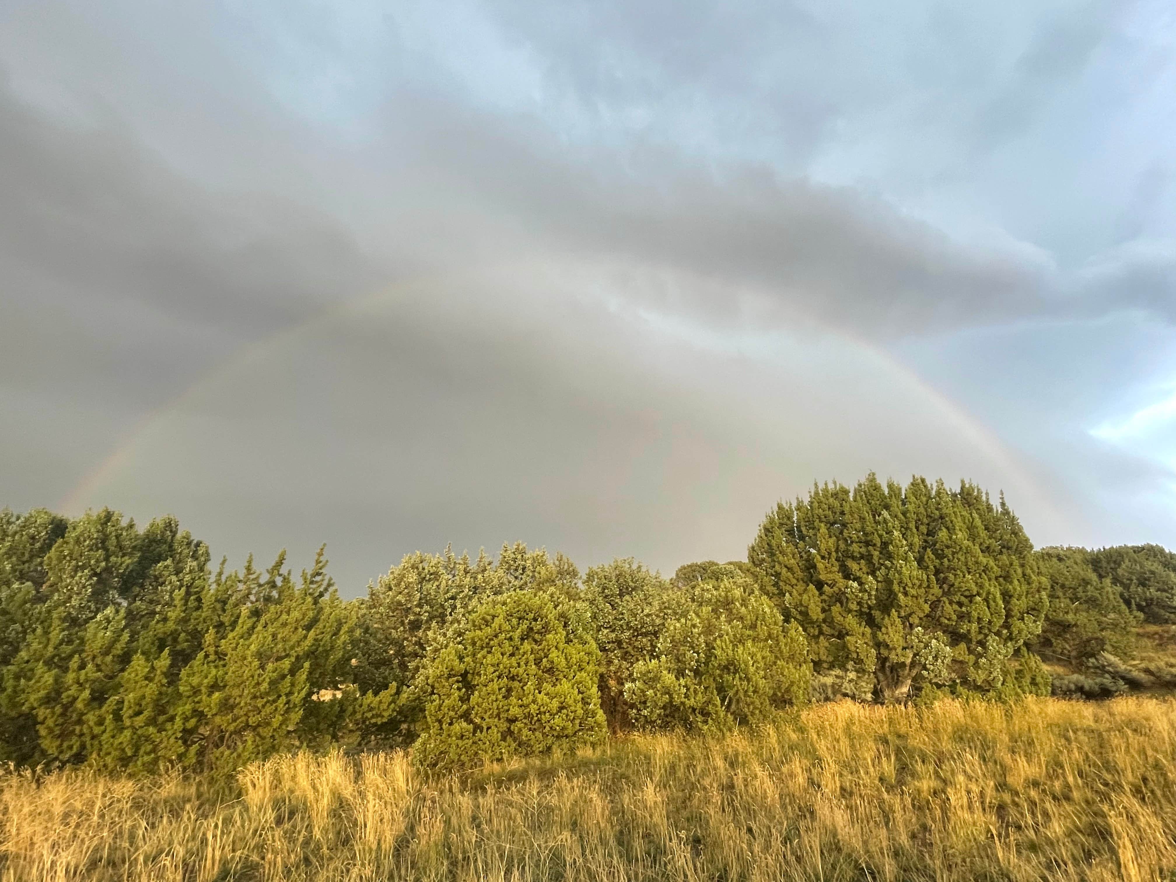 Camper-submitted photo at Snake River Vista Recreation Site near American Falls, ID