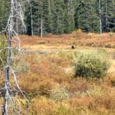 Review photo of Snake River Dispersed - Rockefeller Memorial Parkway by asruh W., September 16, 2026