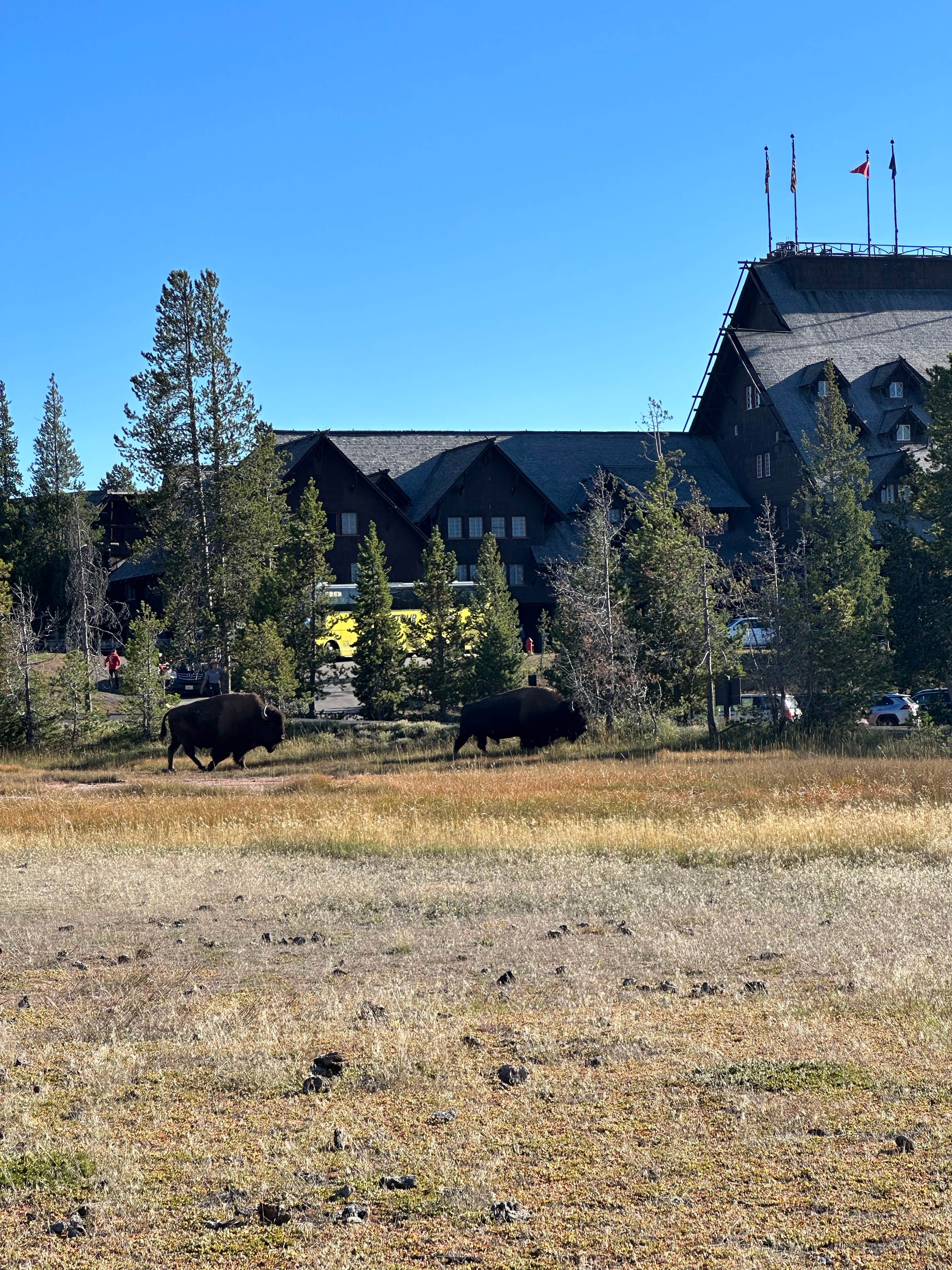 Camper-submitted photo at Snake River Dispersed - Rockefeller Memorial Parkway near John D. Rockefeller Jr. Memorial Parkway