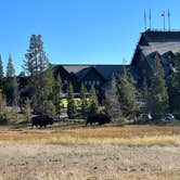 Review photo of Snake River Dispersed - Rockefeller Memorial Parkway by Tee C., September 18, 2023