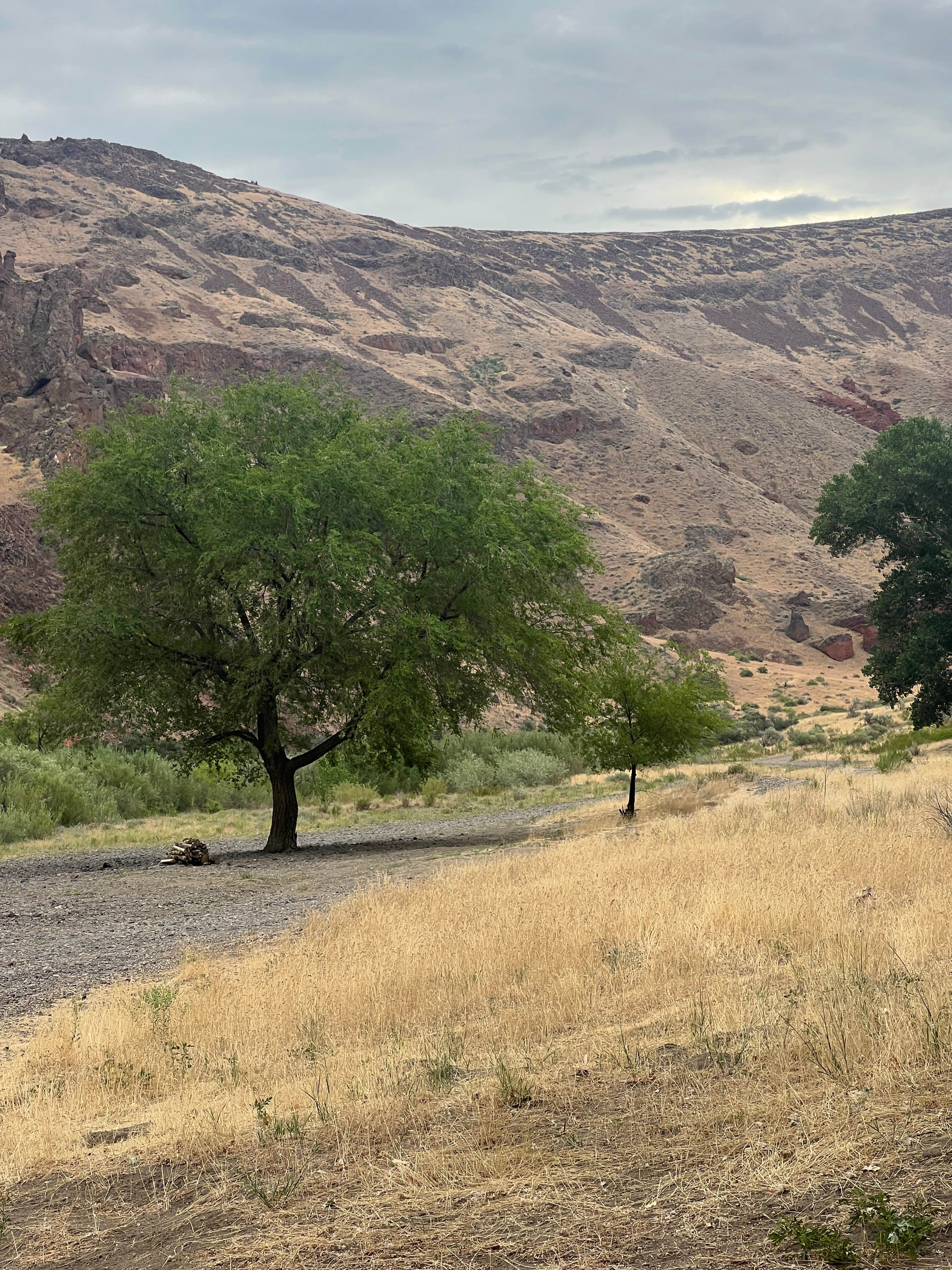 Camper-submitted photo at Snively Gulch near Homedale, ID