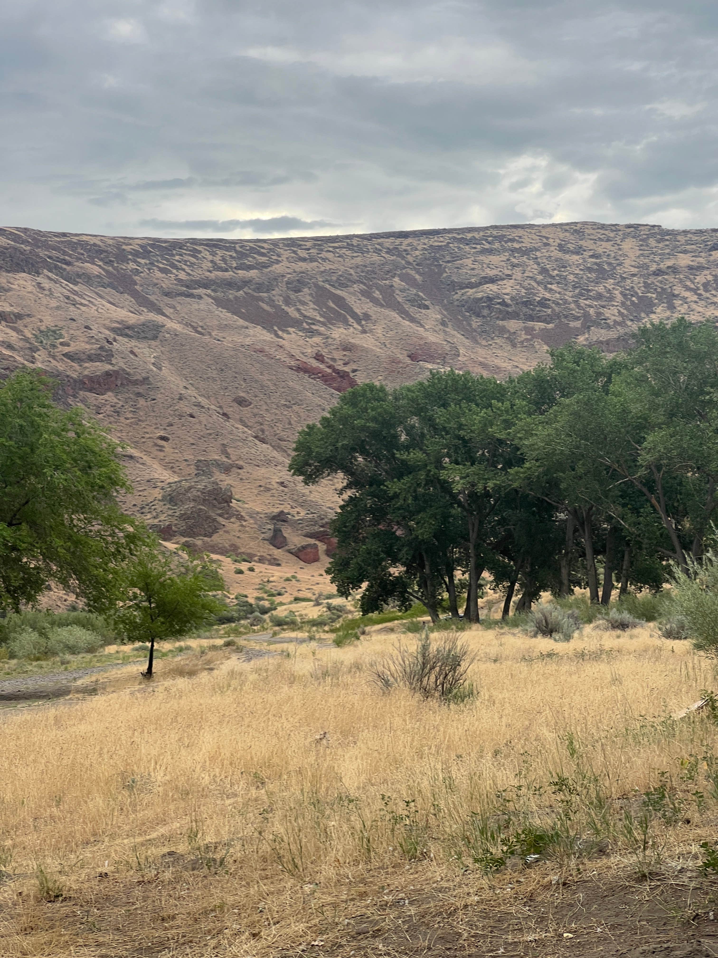 Camper-submitted photo at Snively Gulch near Homedale, ID