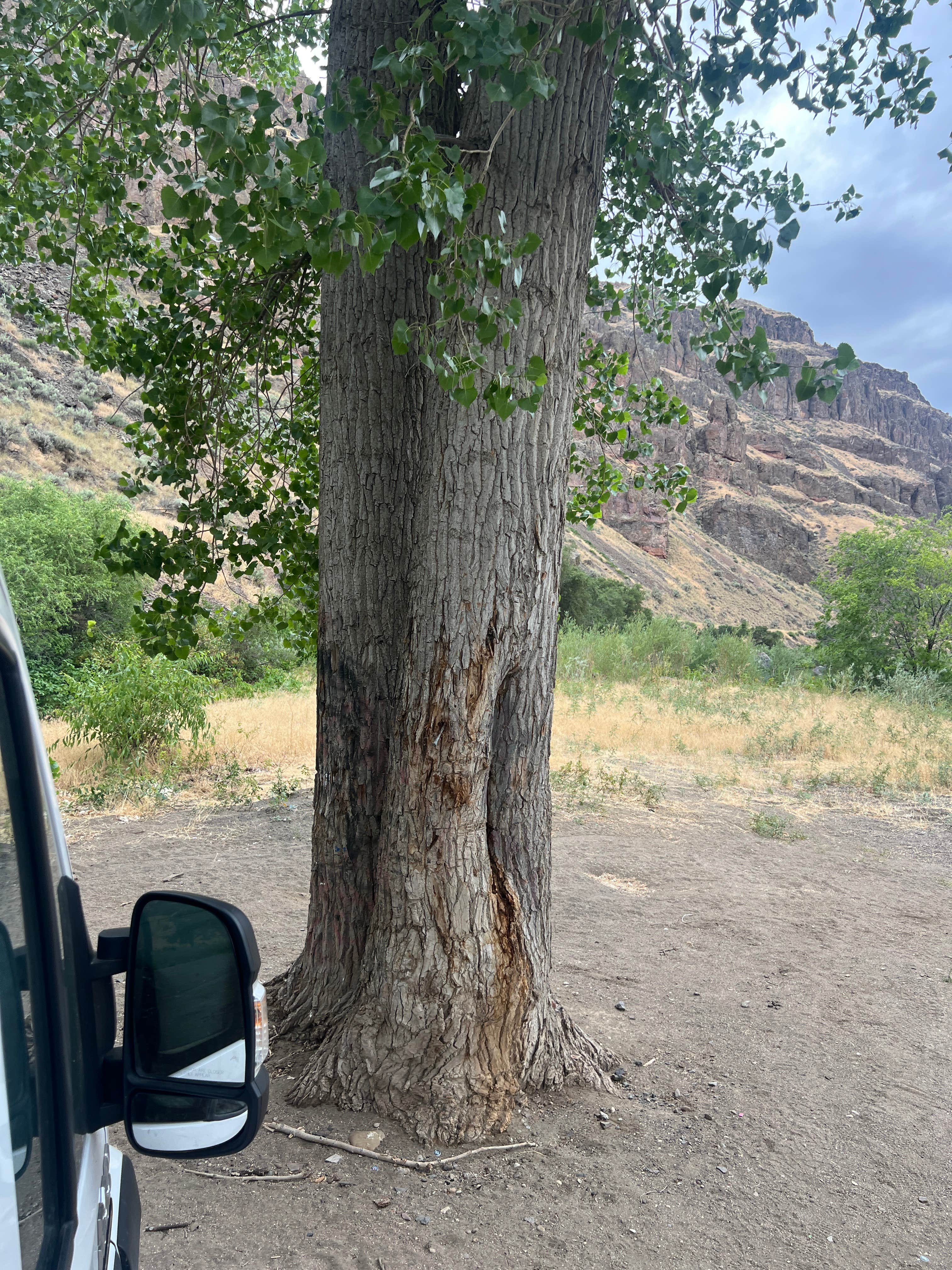 Camper-submitted photo at Snively Gulch near Homedale, ID