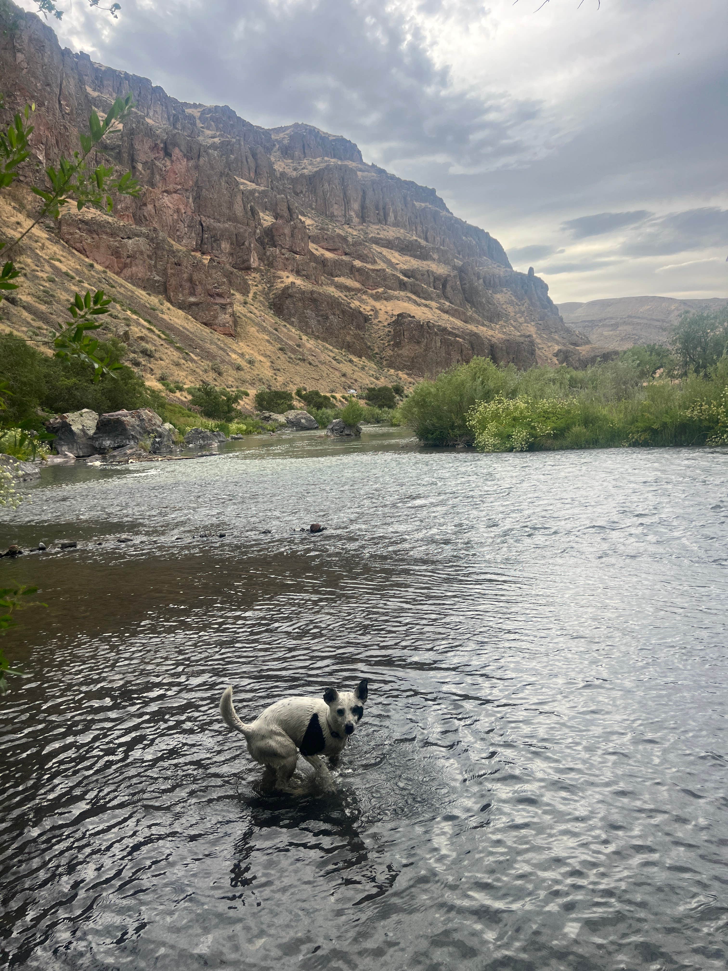 Camping near Rivers Edge RV Park: Snively Gulch, Adrian, Oregon