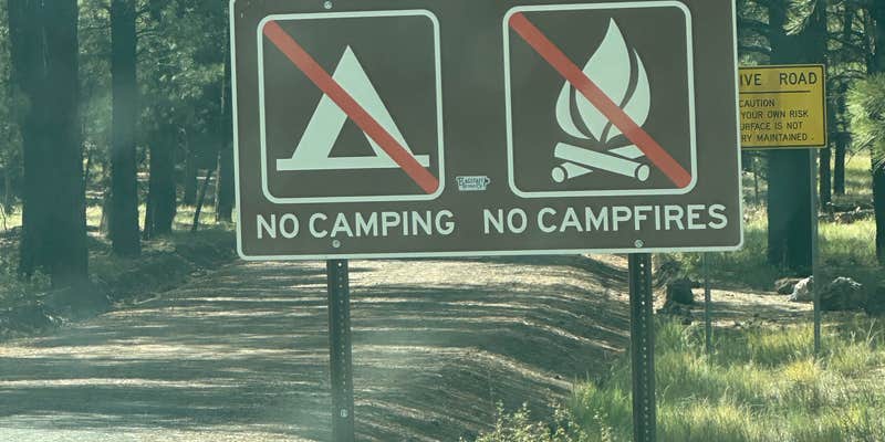 Camper submitted image from Snow Bowl Road