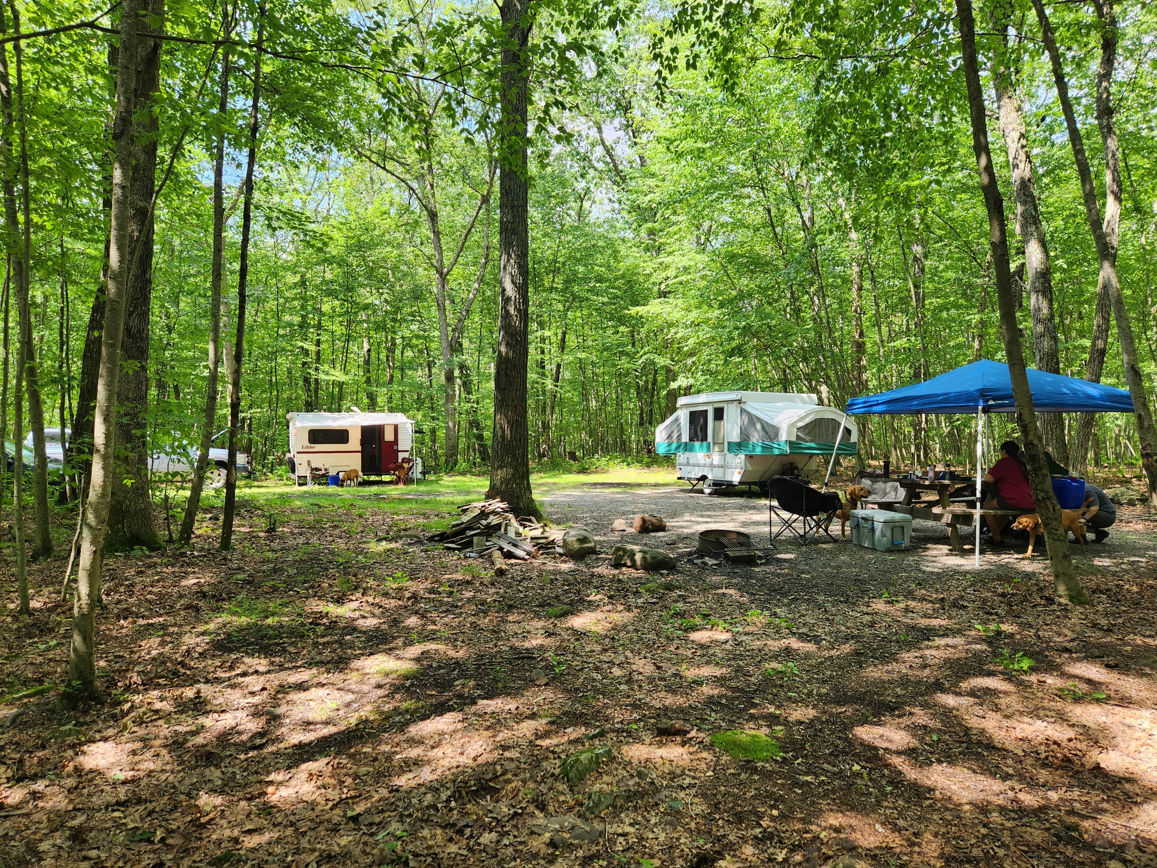 Sue B.'s photo at Snow Hill Roadside Campsites — Delaware State Forest near Skytop, PA