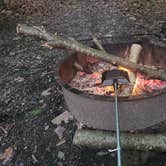 Review photo of Snow Hill Roadside Campsites — Delaware State Forest by Sue B., August 22, 2026
