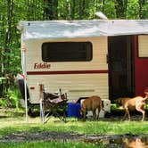 Review photo of Snow Hill Roadside Campsites — Delaware State Forest by Sue B., August 22, 2026