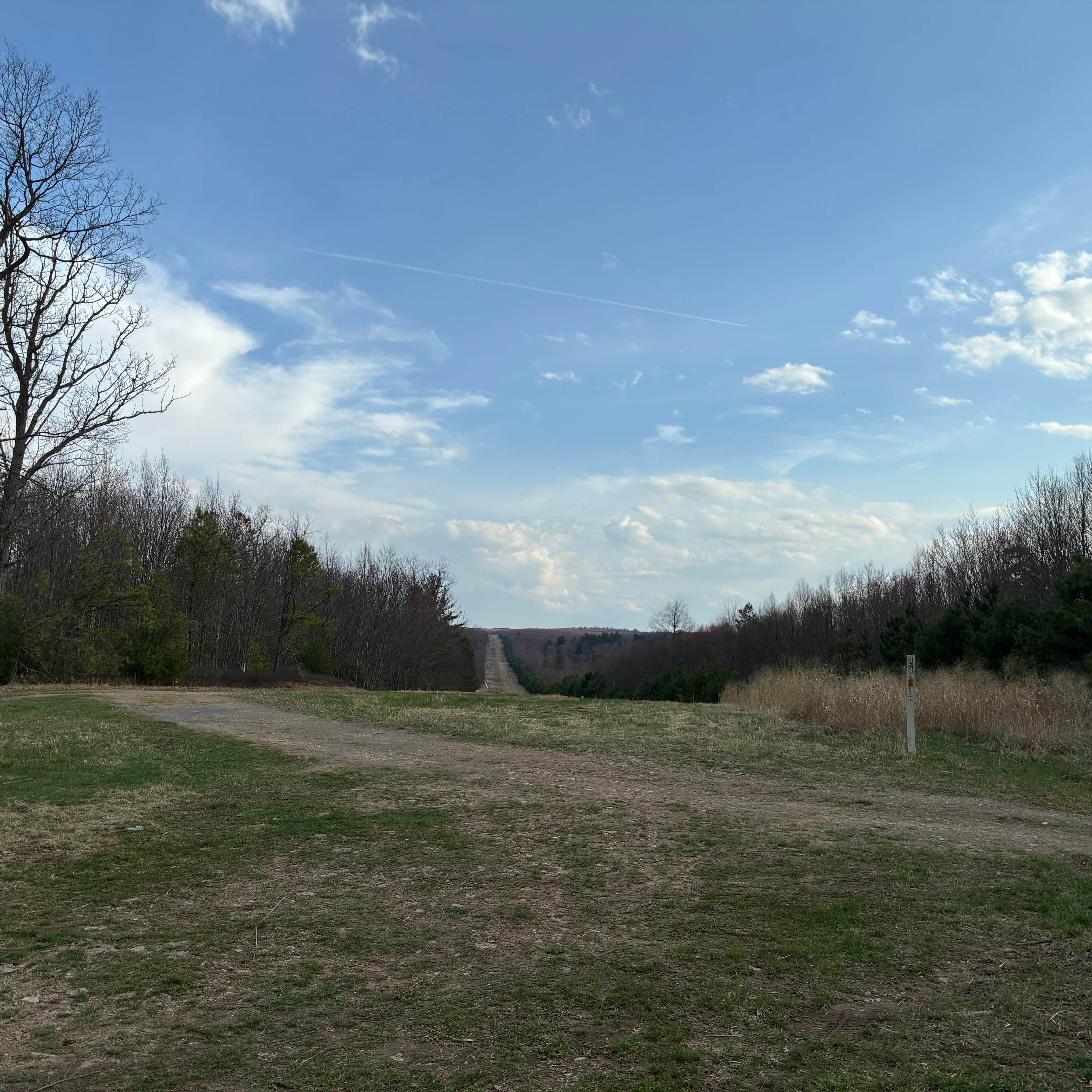Camper-submitted photo at Snow Shoe Sites — Sproul State Forest near Moshannon, PA