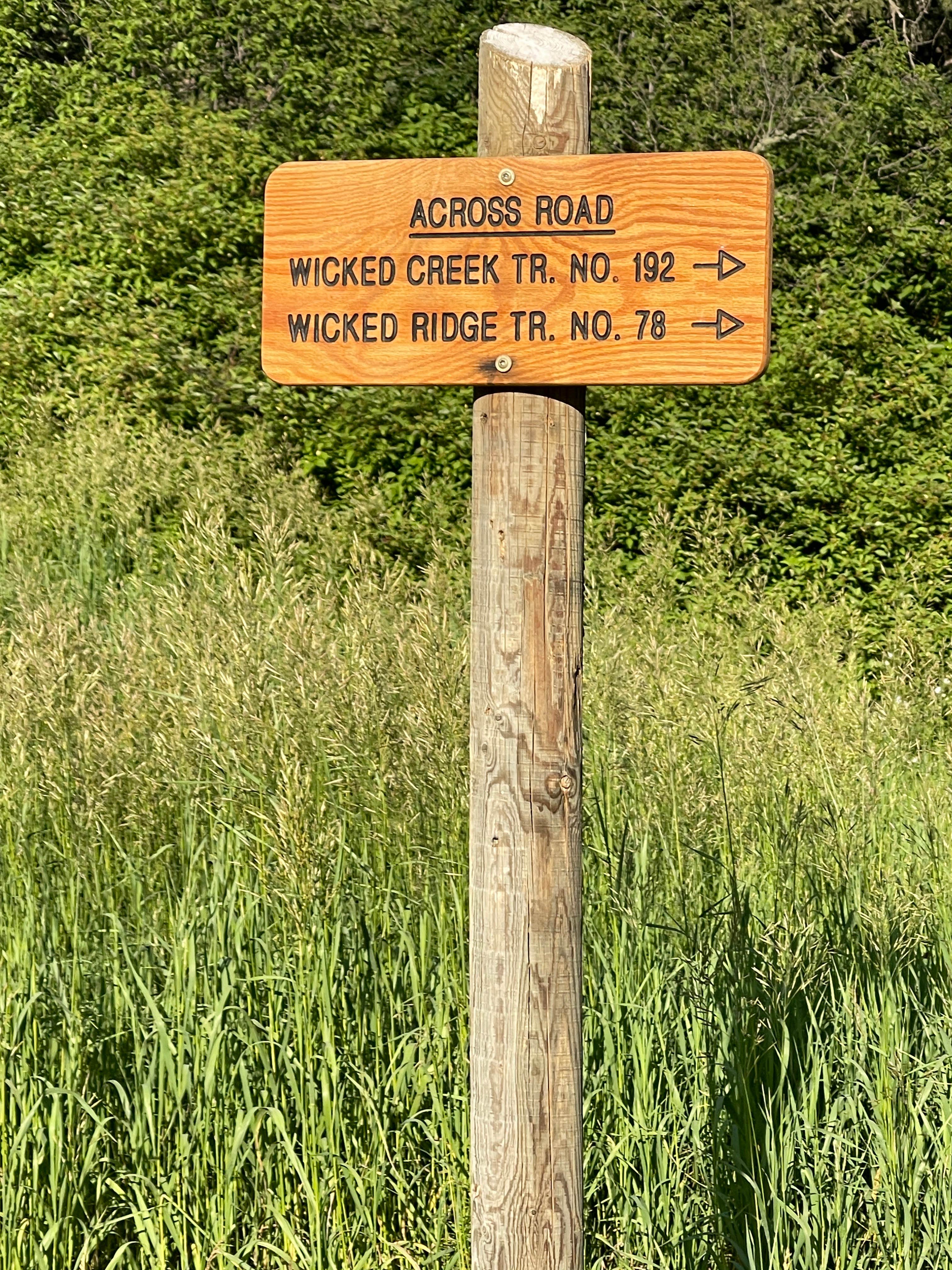 Camper-submitted photo at Snowbank Trailhead near Gardiner, MT