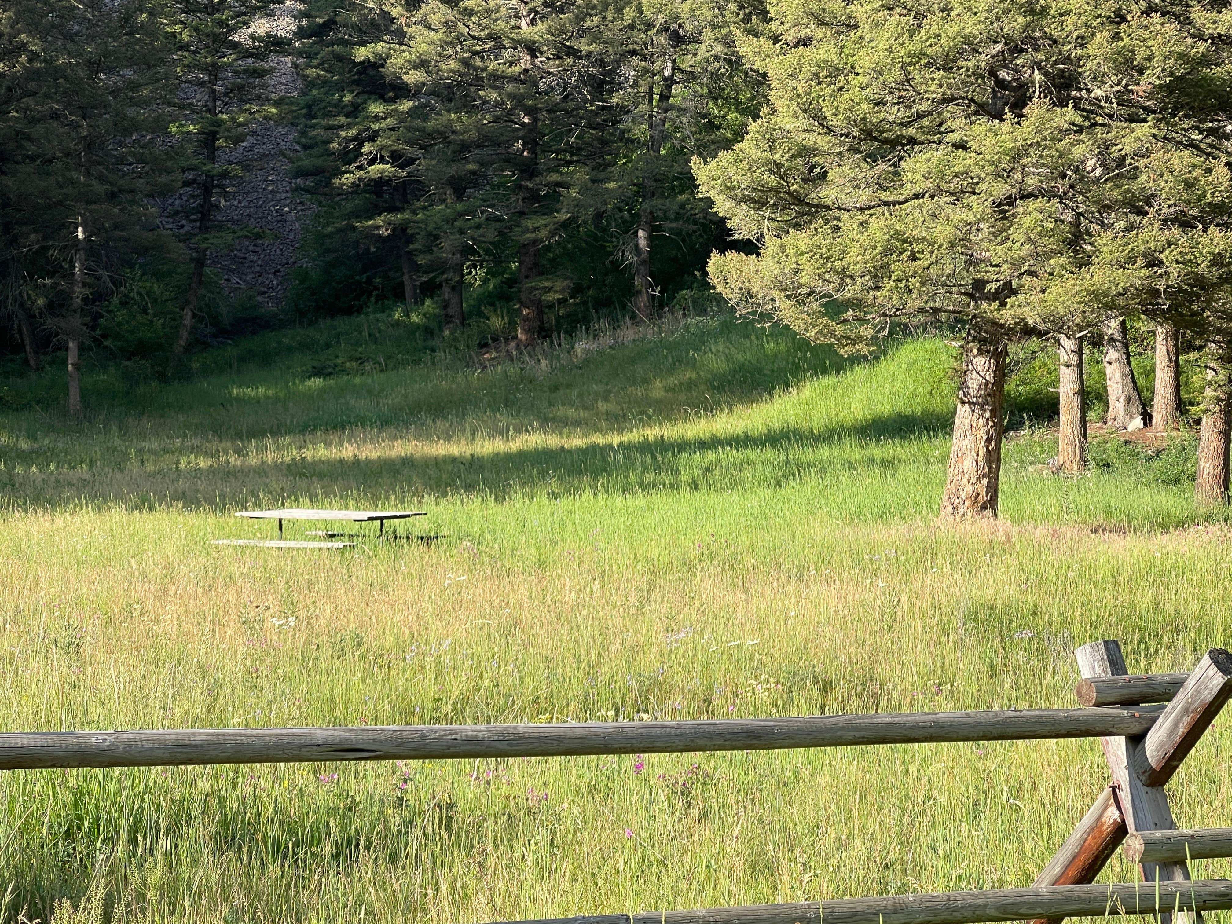 Camper-submitted photo at Snowbank Trailhead near Gardiner, MT