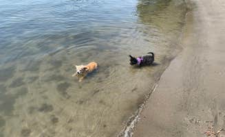 Lori L.'s photo of camping with pets at Snug Harbor RV Park & Marina near Stockton, CA