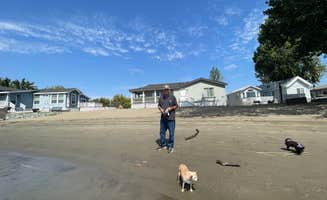 Lori L.'s photo of camping with pets at Snug Harbor RV Park & Marina near Vacaville, CA