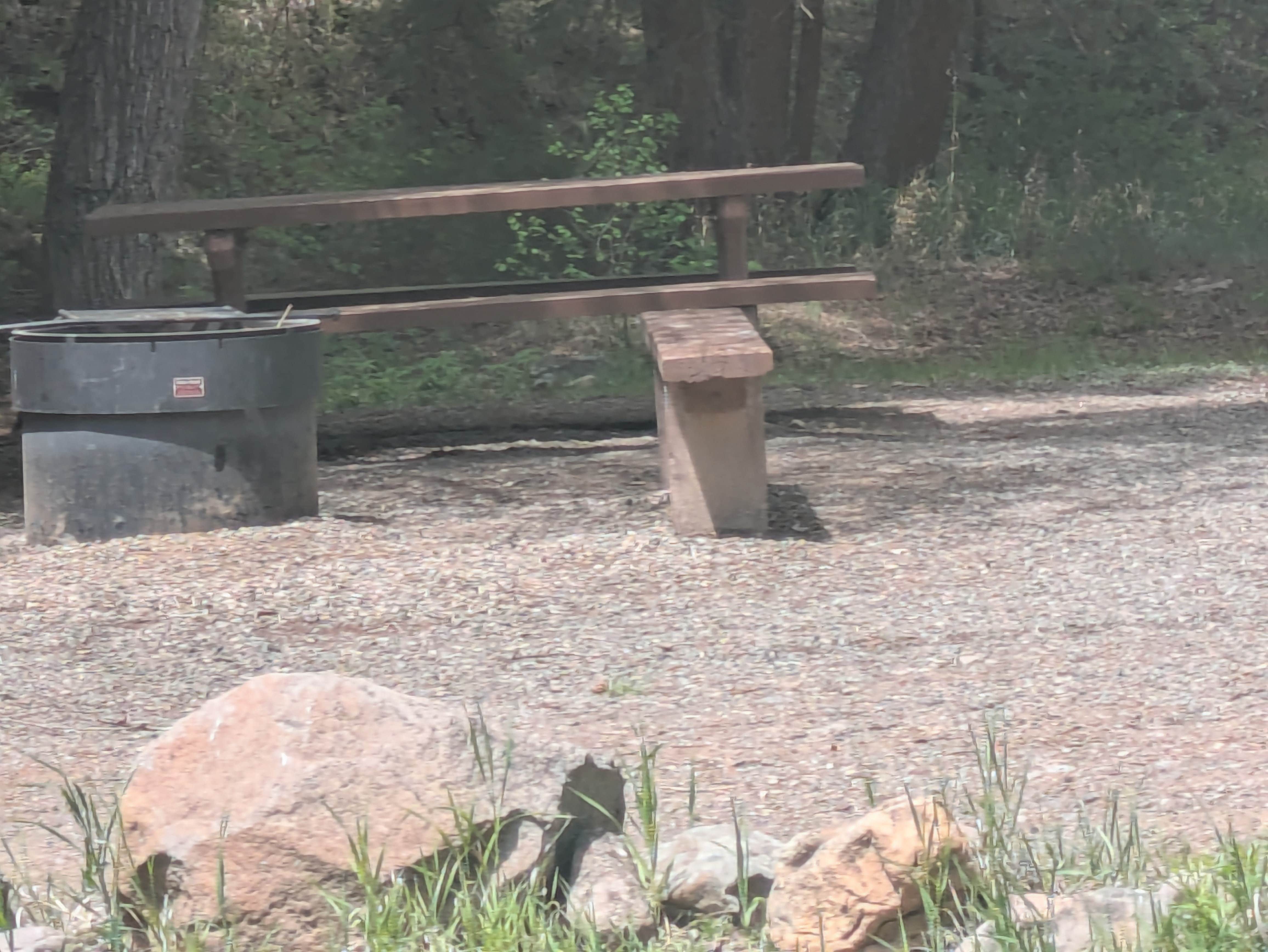 Camper-submitted photo at Soap Creek Camp near Gunnison, CO