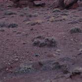 Review photo of Soap Creek - Dispersed Camping by Brad B., June 9, 2025