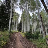 Review photo of Soapstone Basin Dispersed Camping by Taylor I., August 5, 2024