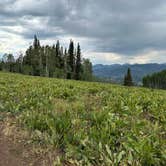 Review photo of Soapstone Basin Dispersed Camping by Taylor I., August 5, 2024