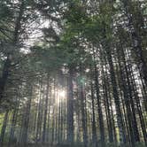 Review photo of soapstone lake trail dispersed camping by Alicia W., July 9, 2025