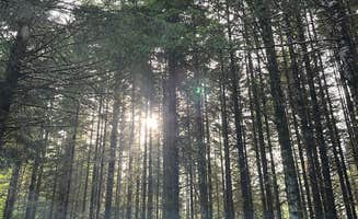 Alicia W.'s photo of a dispersed camping area at soapstone lake trail dispersed camping near Clatskanie, OR
