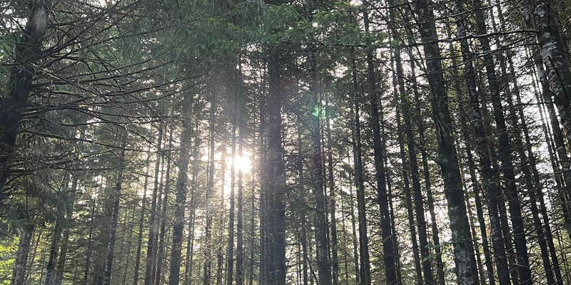 Camper submitted image from soapstone lake trail dispersed camping