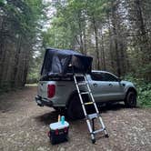 Review photo of soapstone lake trail dispersed camping by Alicia W., July 9, 2025