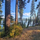 Review photo of Soaring Hawk RV Resort by #1 National R., August 31, 2025