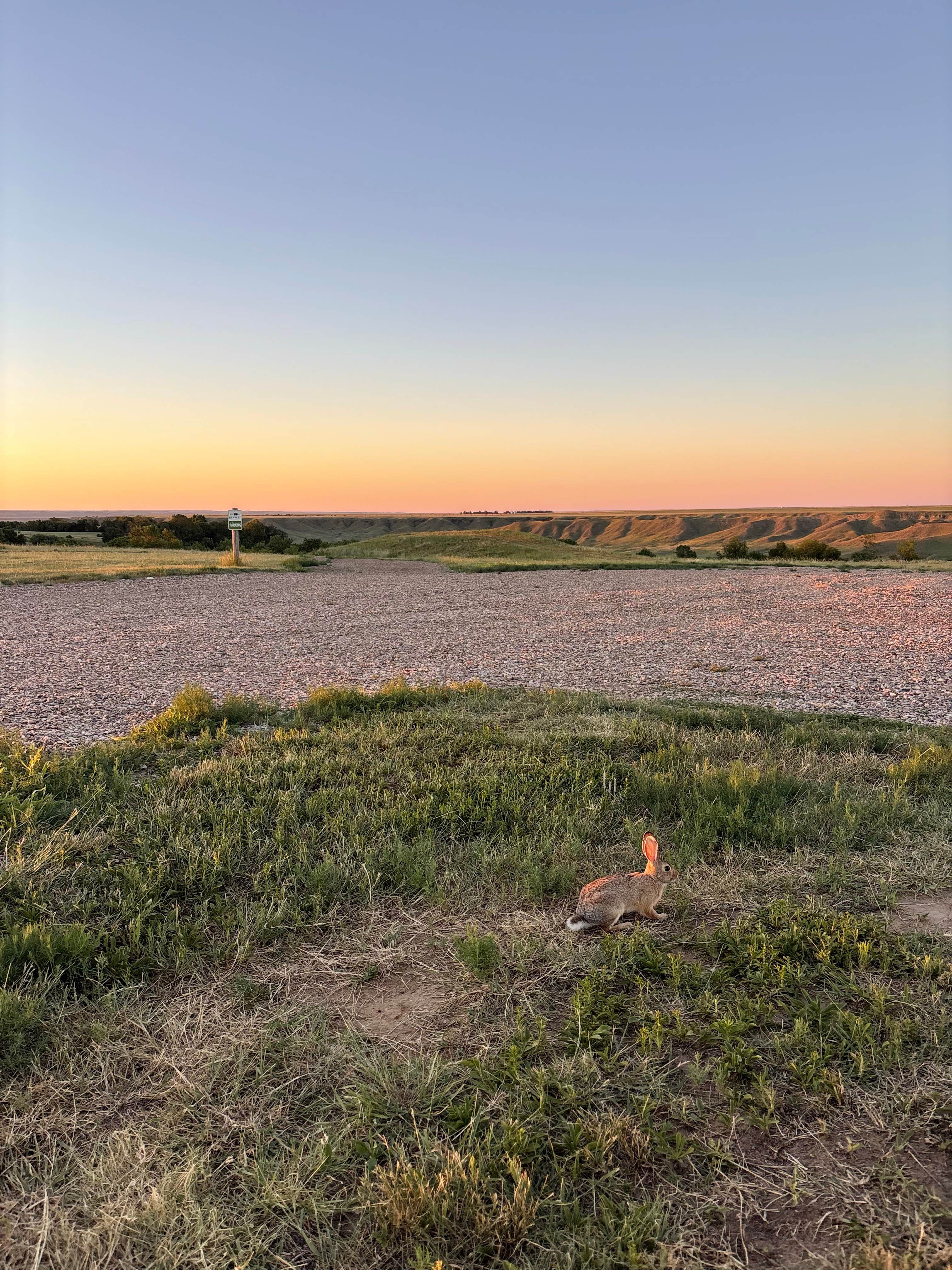 Camper-submitted photo at Sobo’s Campground near Badlands National Park