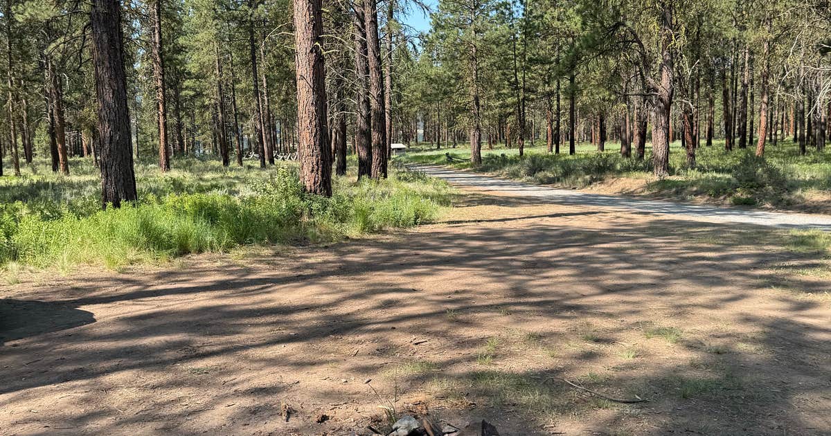 Social Security Point Trailhead Camping | Sumpter, Oregon