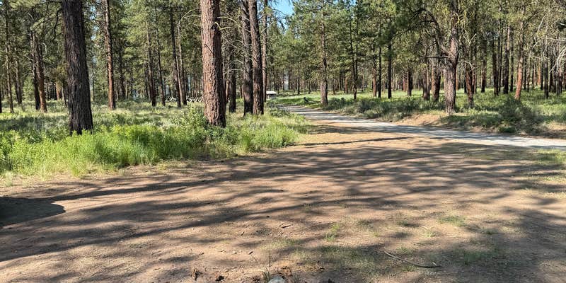 Camper submitted image from Social Security Point Trailhead