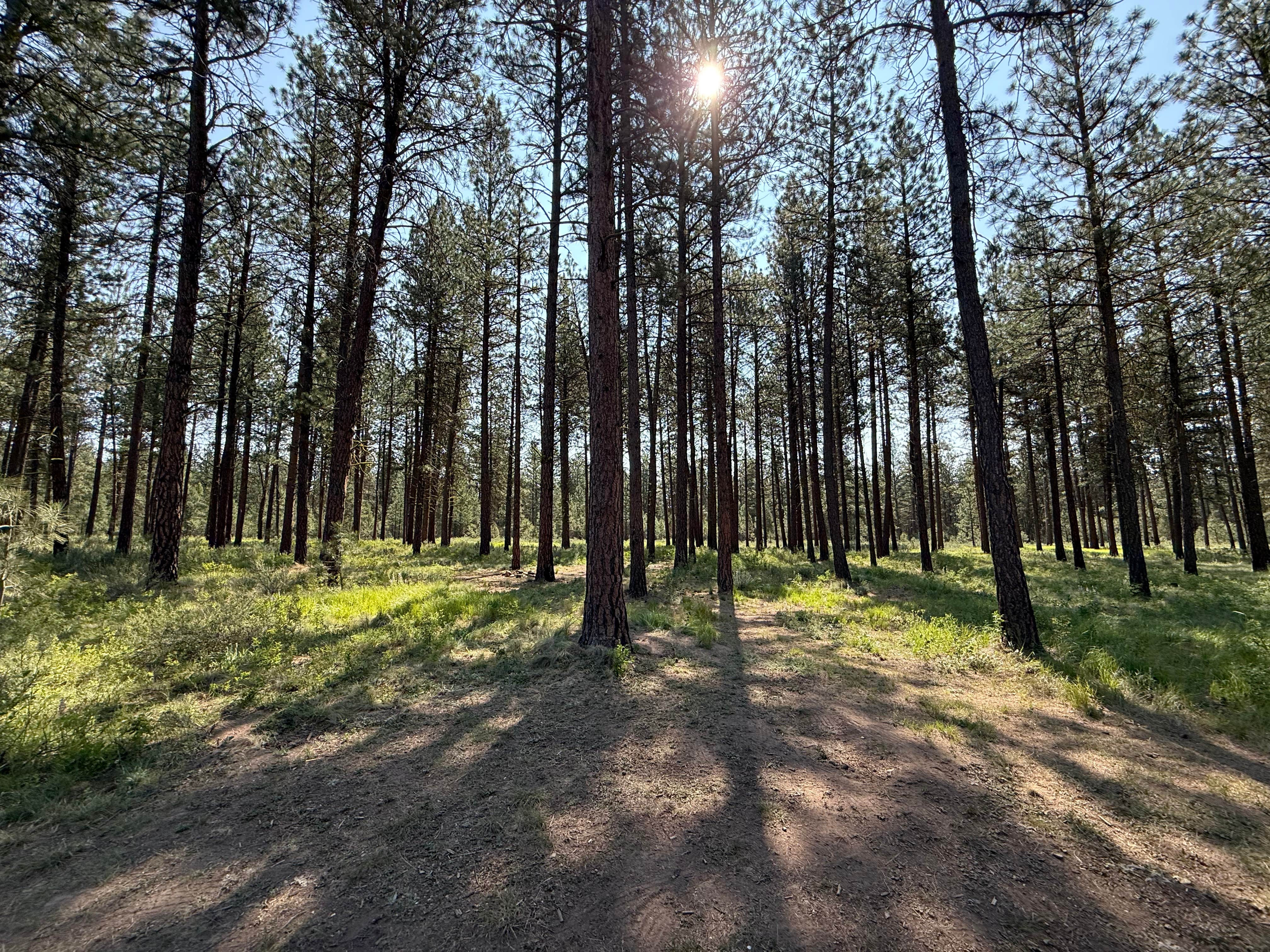 Camper-submitted photo at Social Security Point Trailhead near Baker City, OR