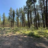 Review photo of Social Security Point Trailhead by Tony D., June 24, 2025