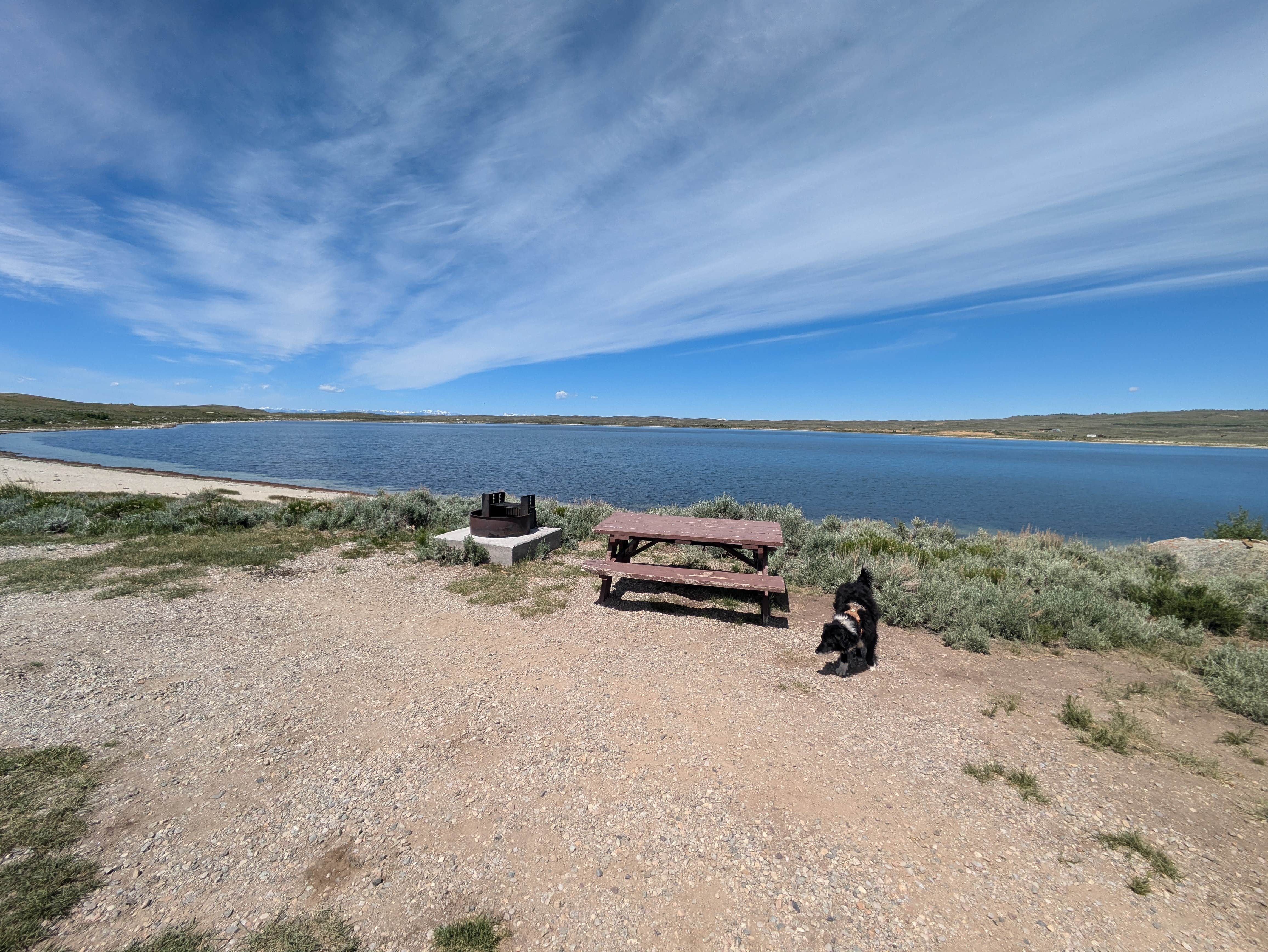 Greg L.'s photo of camping with pets at Soda Lake Wildlife Area near Cora, WY